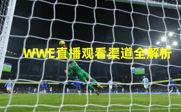 WWE直播观看渠道全解析