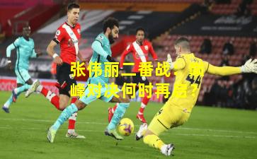 张伟丽二番战：巅峰对决何时再启？